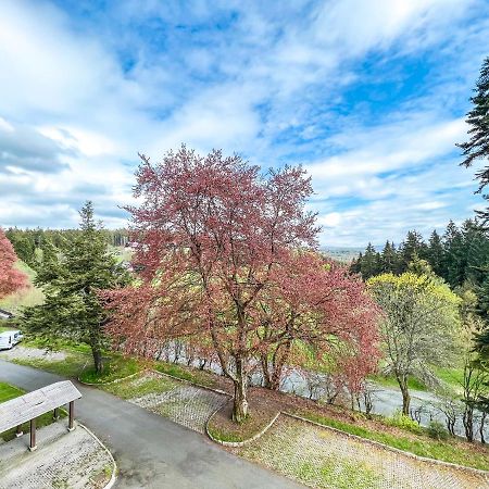 Apartamento Prokop Železná Ruda Exterior foto