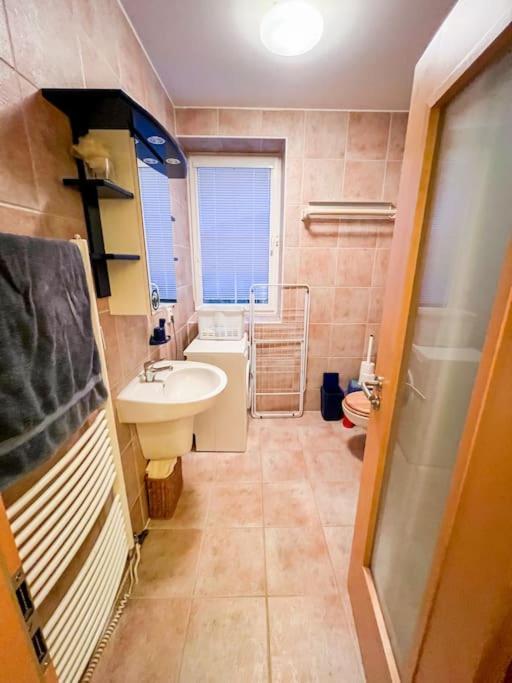 Apartamento Prokop Železná Ruda Exterior foto