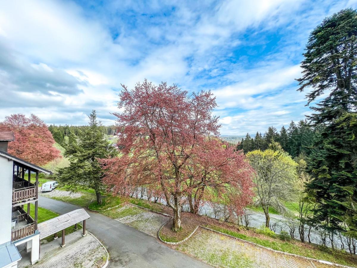 Apartamento Prokop Železná Ruda Exterior foto