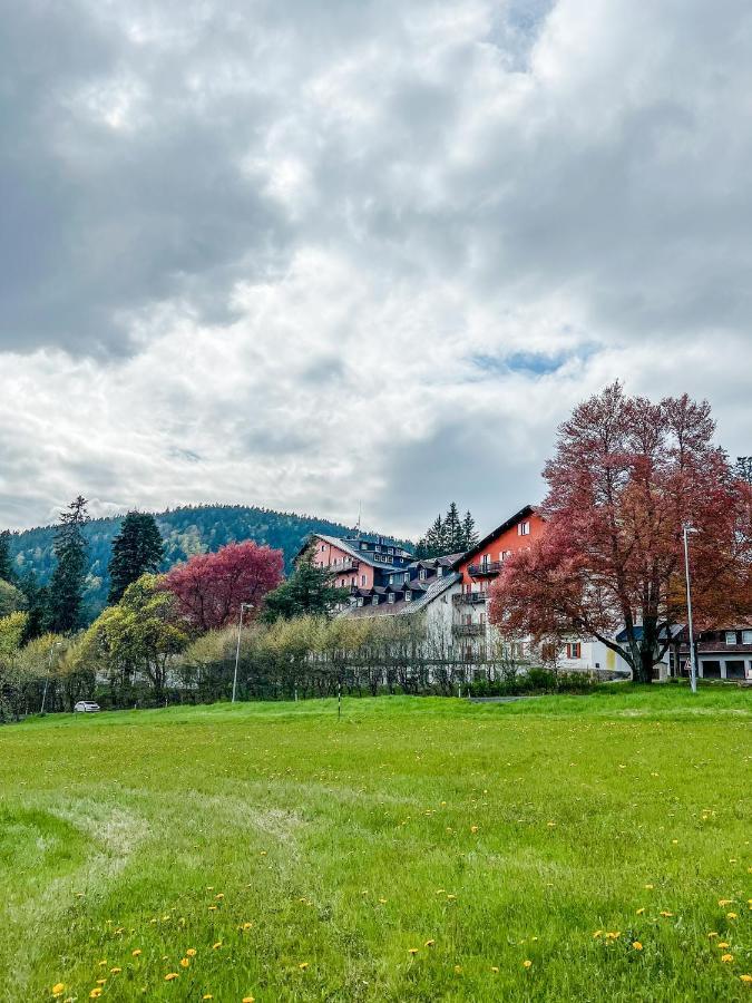 Apartamento Prokop Železná Ruda Exterior foto