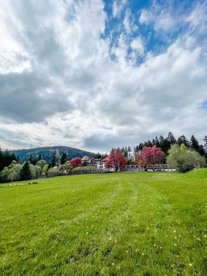 Apartamento Prokop Železná Ruda Exterior foto