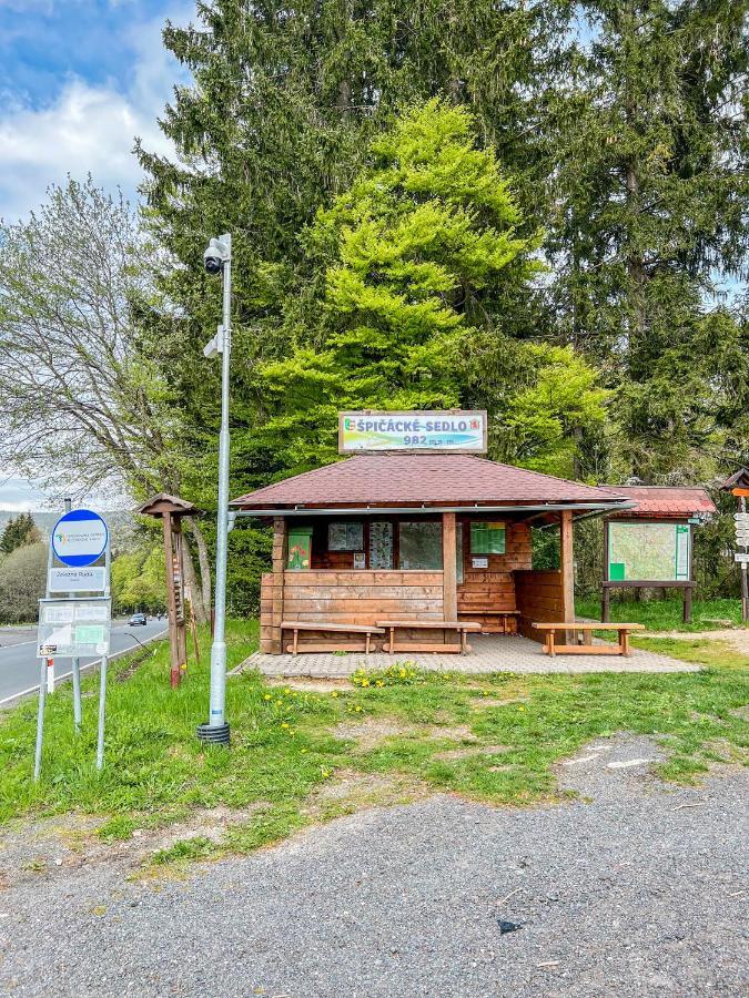 Apartamento Prokop Železná Ruda Exterior foto